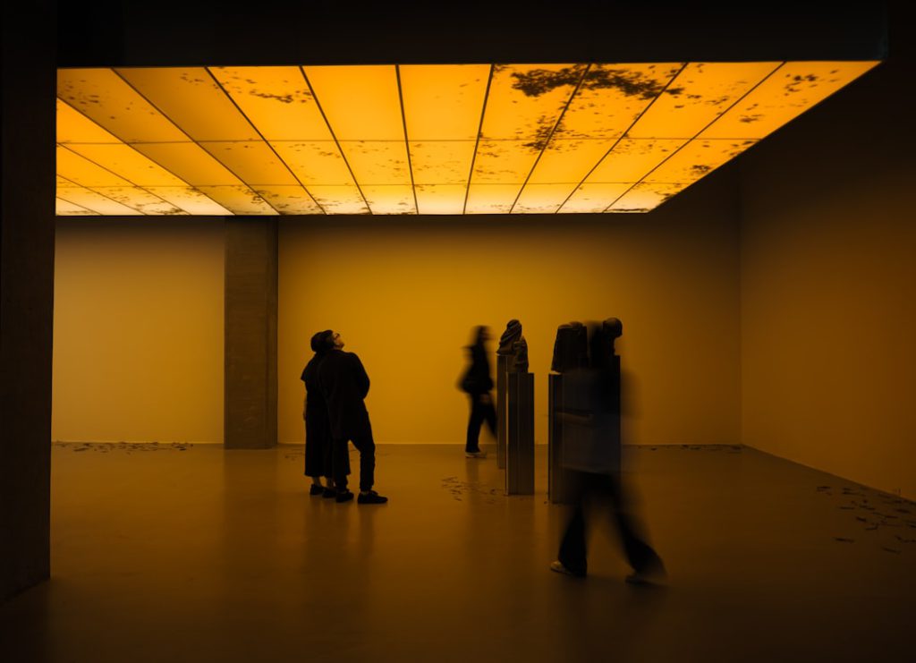 מיסוי על יצירות אמנות: מדריך פשוט – רו"ח קרלוס ששון מסביר את החוקים בישראל